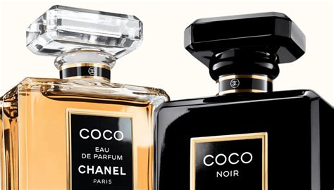 coco & chanel 